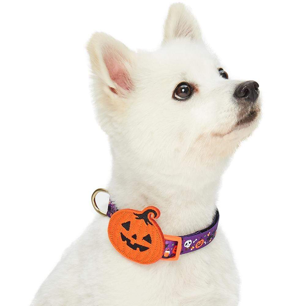 Halloween Dog Collar with Pumpkin, Ghost and Witches Design
