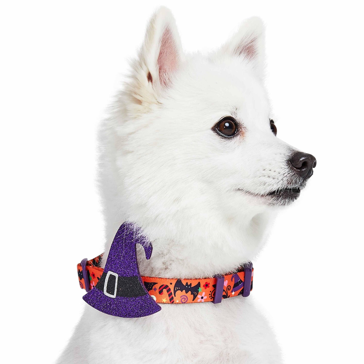 Halloween Dog Collar with Pumpkins, Ghosts and Witch Hat Design